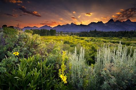 K Wyoming Grand Teton Scenery Mountains Parks Usa Shrubs Hd