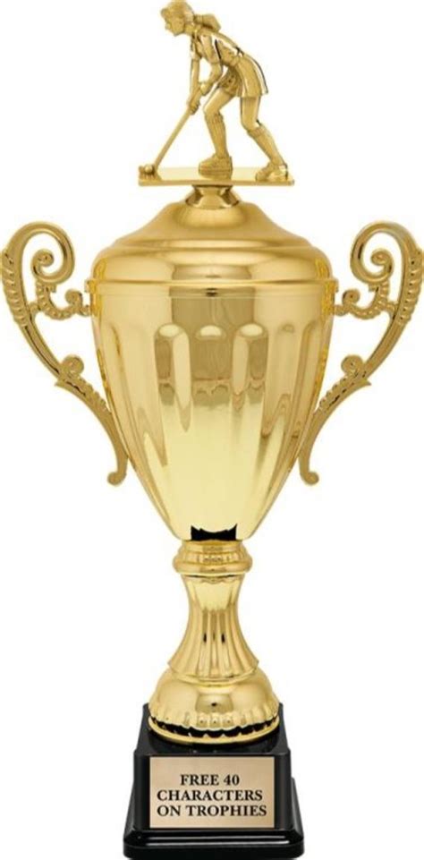 hockey trophy  piece sports trophy  raipur id