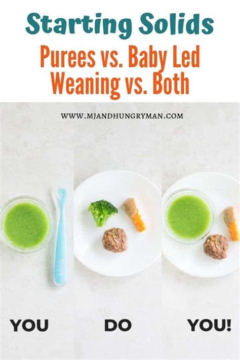 Baby Led Weaning And Purees