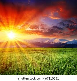 Beautiful Sunset Over Field Green Grass Stock Photo Shutterstock