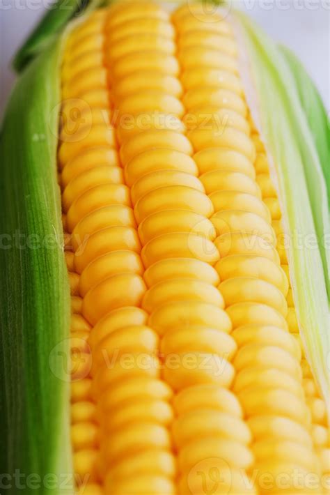 Corn grains in close-up closeup, rows of fresh and ripe yellow corn ...