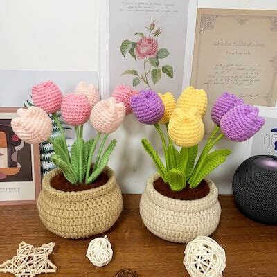 15 Crochet Flower Pot Patterns Crochet News