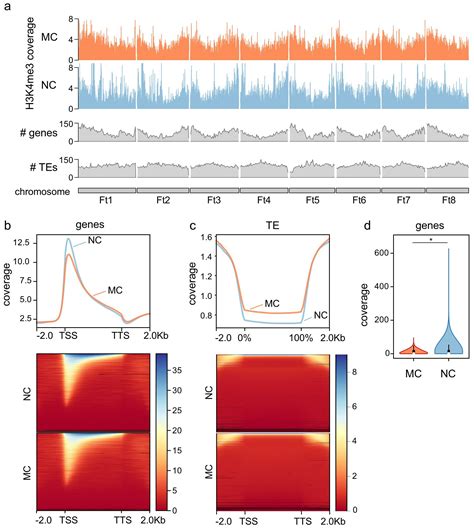 Frontiers H K Me Changes Occur In Cell Wall Genes During The