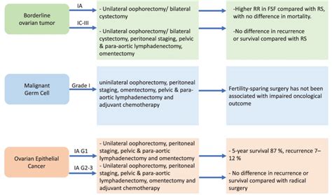 Fertility Sparing Strategies In Oc Patients Rr Recurrence Rate Fsf