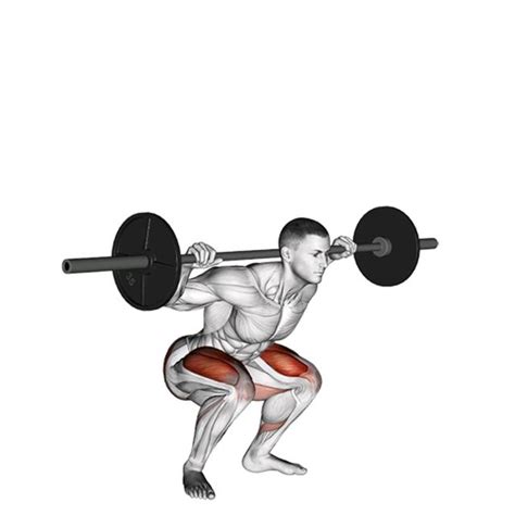 Barbell Squat by John M. - Exercise How-to - Skimble