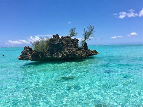 373 WOLMAR (Île Maurice/Flic En Flac) - tarifs 2024