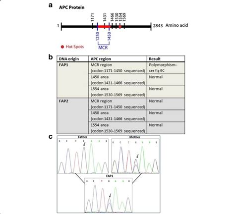 APC Protein And Sequencing Chromatography Results A The APC Protein