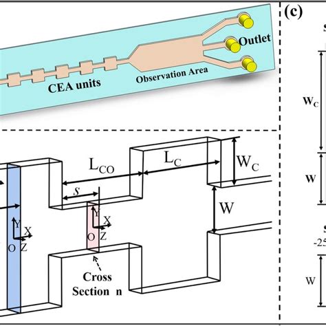 Schematic diagram of microchannel structure. a Three-dimensional... | Download Scientific Diagram