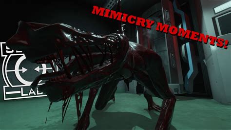 SCP SL Mimicry Moments 5 Stream Highlight Compilation YouTube