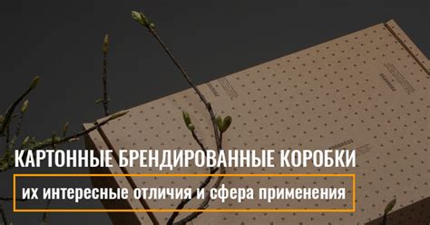 Картонные брендированные коробки и их интересные отличия