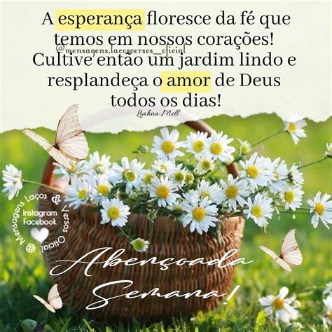 Mensagem Das Flores Que Sua Semana Seja Linda E Aben Oada