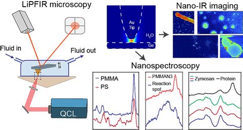 利用峰值力红外显微术在液相下进行纳米红外成像和光谱分析 X Mol资讯
