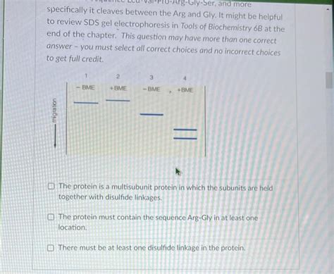Solved A Protein Gives A Single Band On Sds Page Gel Chegg