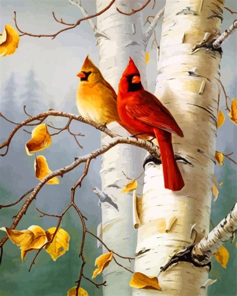 Cardinal On Birch Tree Paint By Number Num Paint Kit