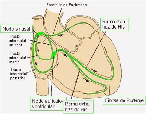 Biolog A Diciembre