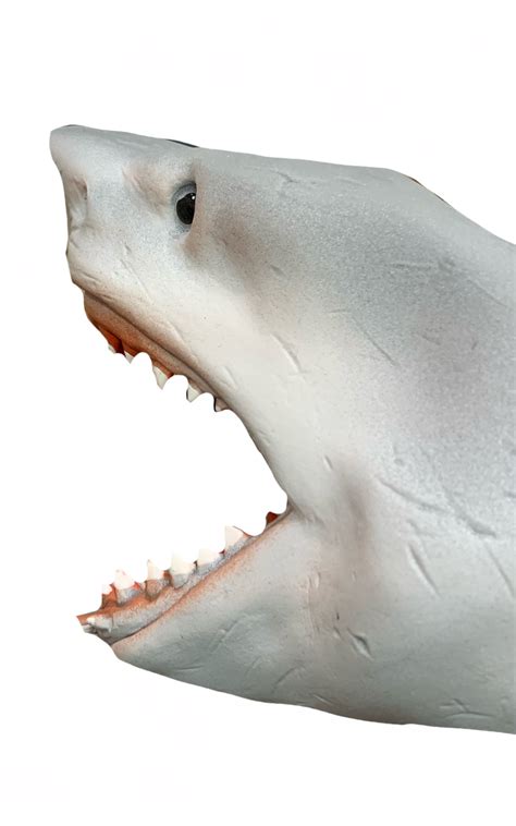 Great white shark puppet by DracoAwesomeness on DeviantArt