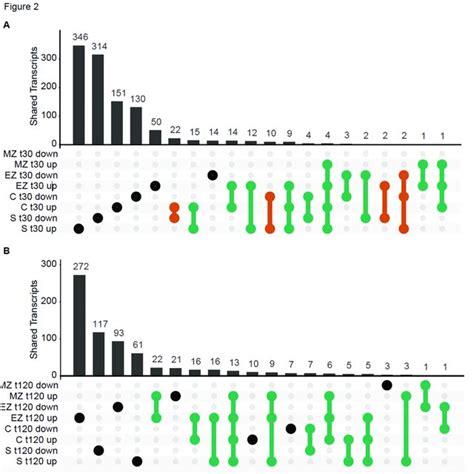 A Comparison Of Differentially Expressed Genes In Maize Roots Across