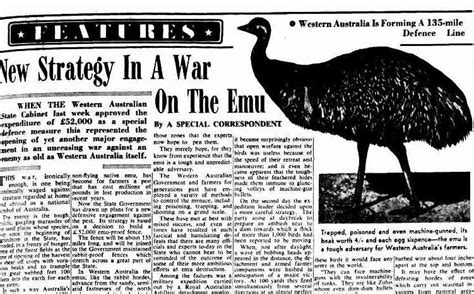 Lewis Twibys History And Geek Stuff History In Focus The Emu War