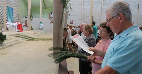 Par Quias Da Regi O Celebram Domingo De Ramos Veja Programa O