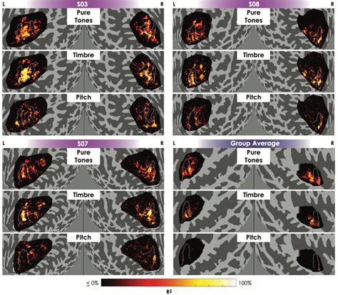 Variance Explained Heat Maps Are More Similar For Pure Tone And Timbre