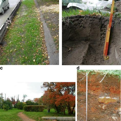 Micromorphological Features A General Image Pit 1 Horizon Аku Ppl