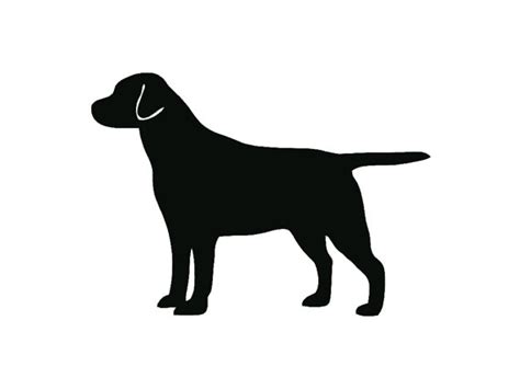 Yellow Lab Silhouette At Getdrawings Free Download