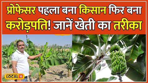 Banana Farming प्रोफेसर की नौकरी छोड़ शुरू की केले की खेती आज बना