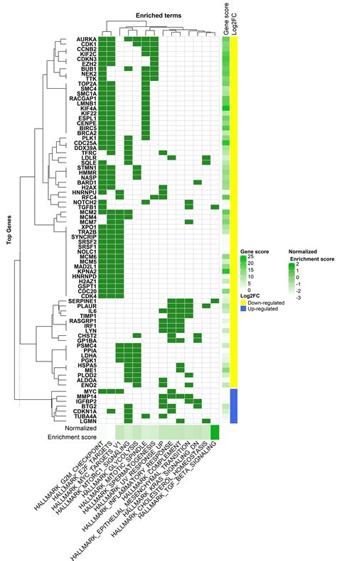 Gene Set Enrichment Analysis Biology At Mayme Ringgold Blog