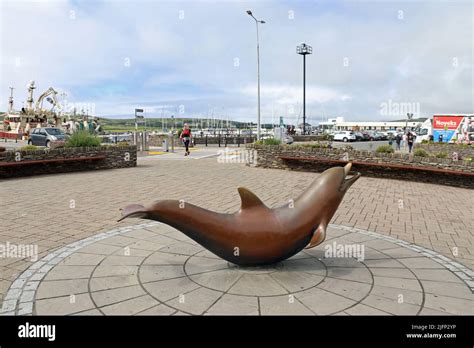 sculpture  fungie  bottlenose dolphin  dingle stock photo alamy