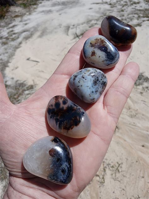 Lot Of 5 Stunning Small Polished Dendrite Agates Mineral Specimens D3