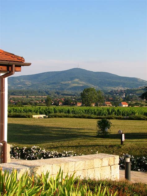 Tokaj. A voyage to Tokaj, Hungary, Europe. | World Travel Guides