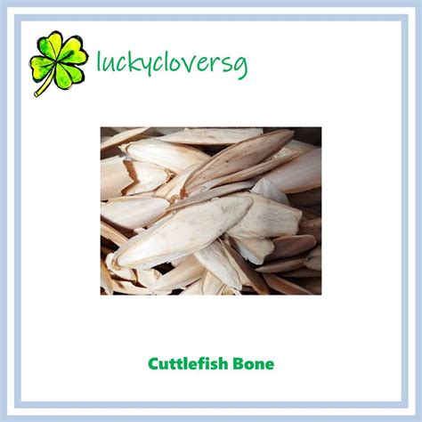 Cuttlefish Bone Cuttle Calcium For Isopod Parrot Terrapins Small