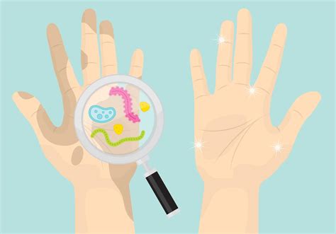 clean hand cliparts   clean hand cliparts png images