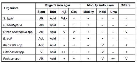 Culture Media Used For Isolation And Identification Of Salmonella Typhi