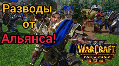 Разводы от Альянса‼️ Варкрафт 3, Варкрафт Рефоржед, Warcraft - YouTube