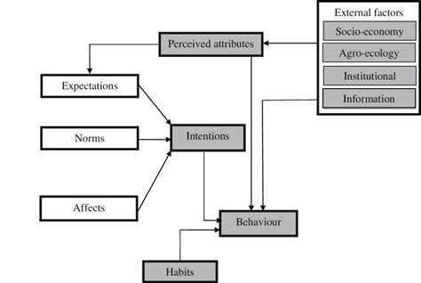 integrative framework  triandis  theory  interpersonal
