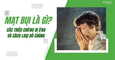 Mạt Bụi Là Gì Các Triệu Chứng Dị ứng Và Cách Loại Bỏ Chúng Nệm