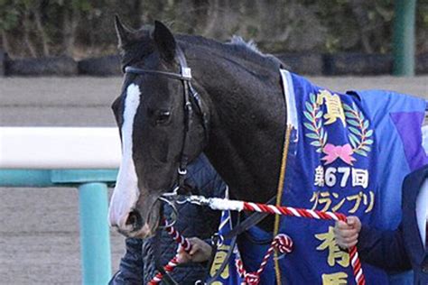 【jra】今春から種牡馬入りするイクイノックス、アーモンドアイと交配の可能性も？ 競馬ヘッドライン