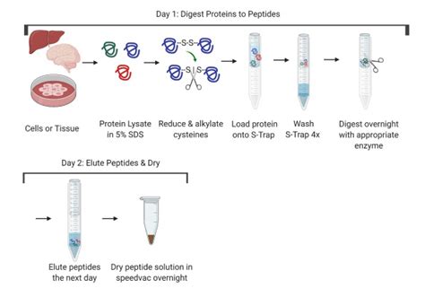 Ptmscan Hs Immunoenrichment Companion Reagents Kit Cell Signaling