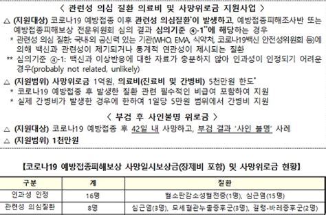 코로나19 예방접종 이후 이상반응 102건 인과성 인정 보상