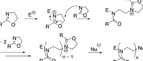 Scheme Mechanism Of The Cationic Ring Opening Polymerization Of