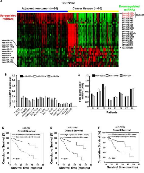 Figure 1 From Mir 214199a199a Cluster Levels Predict Poor Survival