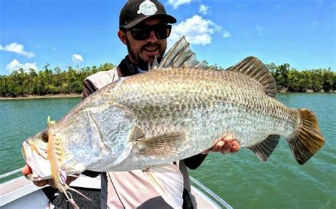 Tips Umpan Terbaik Mancing Barramundi Cukil Atau Kakap Putih