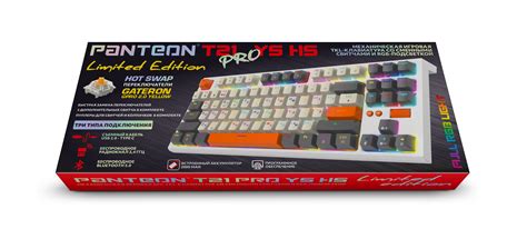 PANTEON T21 PRO YS HS White-Ivory-Grey (61)