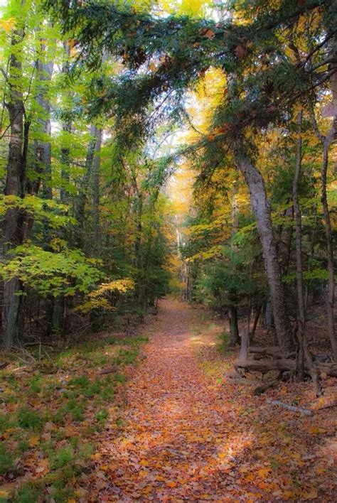 Pin By Katharina Smietana On Autumn Landscape Country Roads Walk In