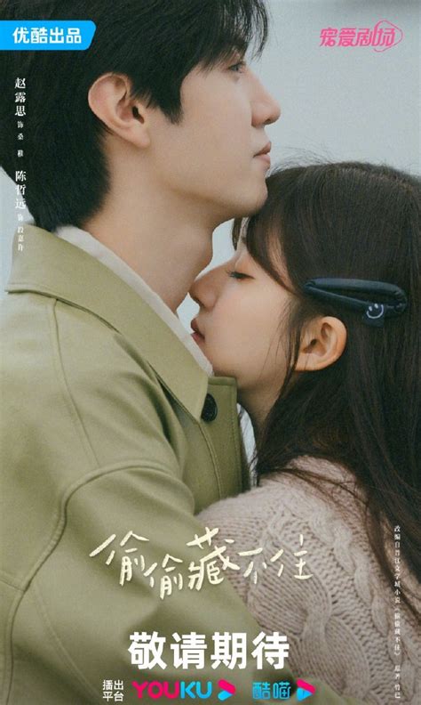 MULTI Romance C Drama Youku Hidden Love S01 2023 2160p WEB DL