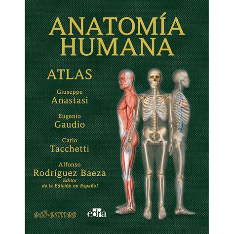 Atlas De Anatomia Humana Kinkidogwp Xjp