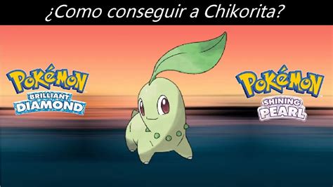 Como Conseguir A Chikorita En Pokemon Diamante Brillante Y Perla