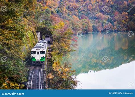 Train and Tadami River in Autumn Stock Photo - Image of fall, holiday ...