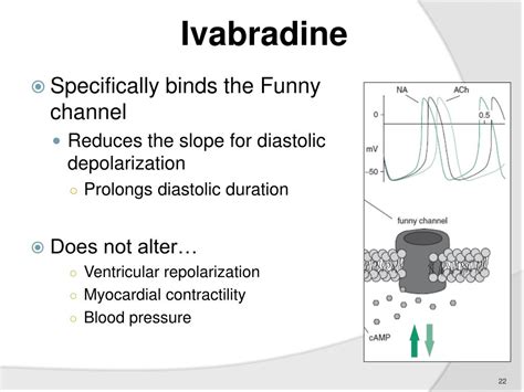 Ppt Ivabradine Is There A Cardiovascular Benefit To Pure Heart Rate